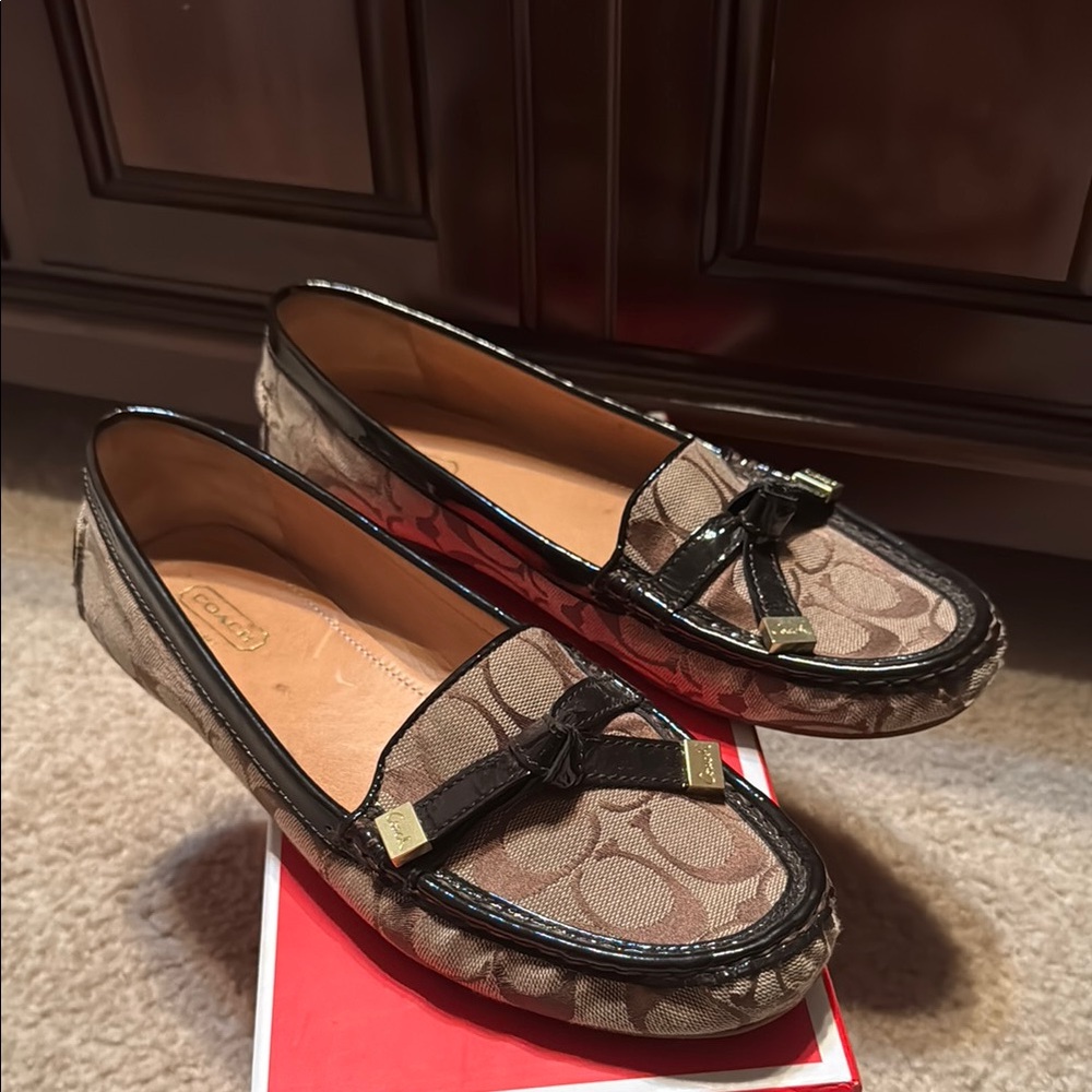 Women's Designer Loafers in Brown and Black